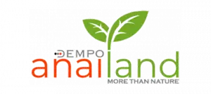 dempo-anailand-164940270227212_converted
